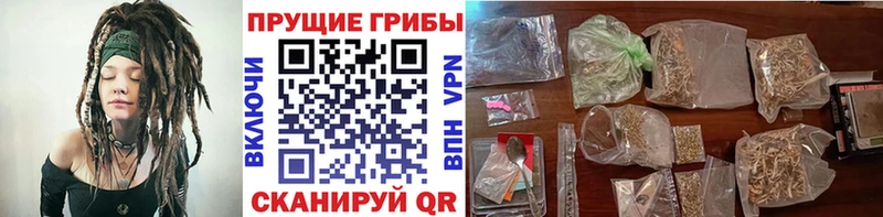 Галлюциногенные грибы MAGIC MUSHROOMS  Семикаракорск 